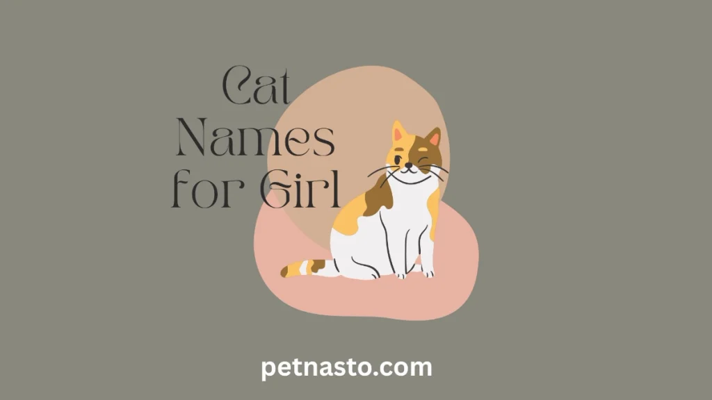 Cat Names for Girl