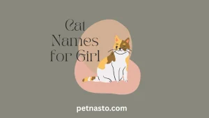 Cat Names for Girl: 500+ Lovely & Amazing Name Ideas for 2026