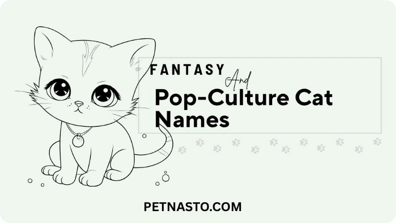 Fantasy and Pop-Culture Cat Names